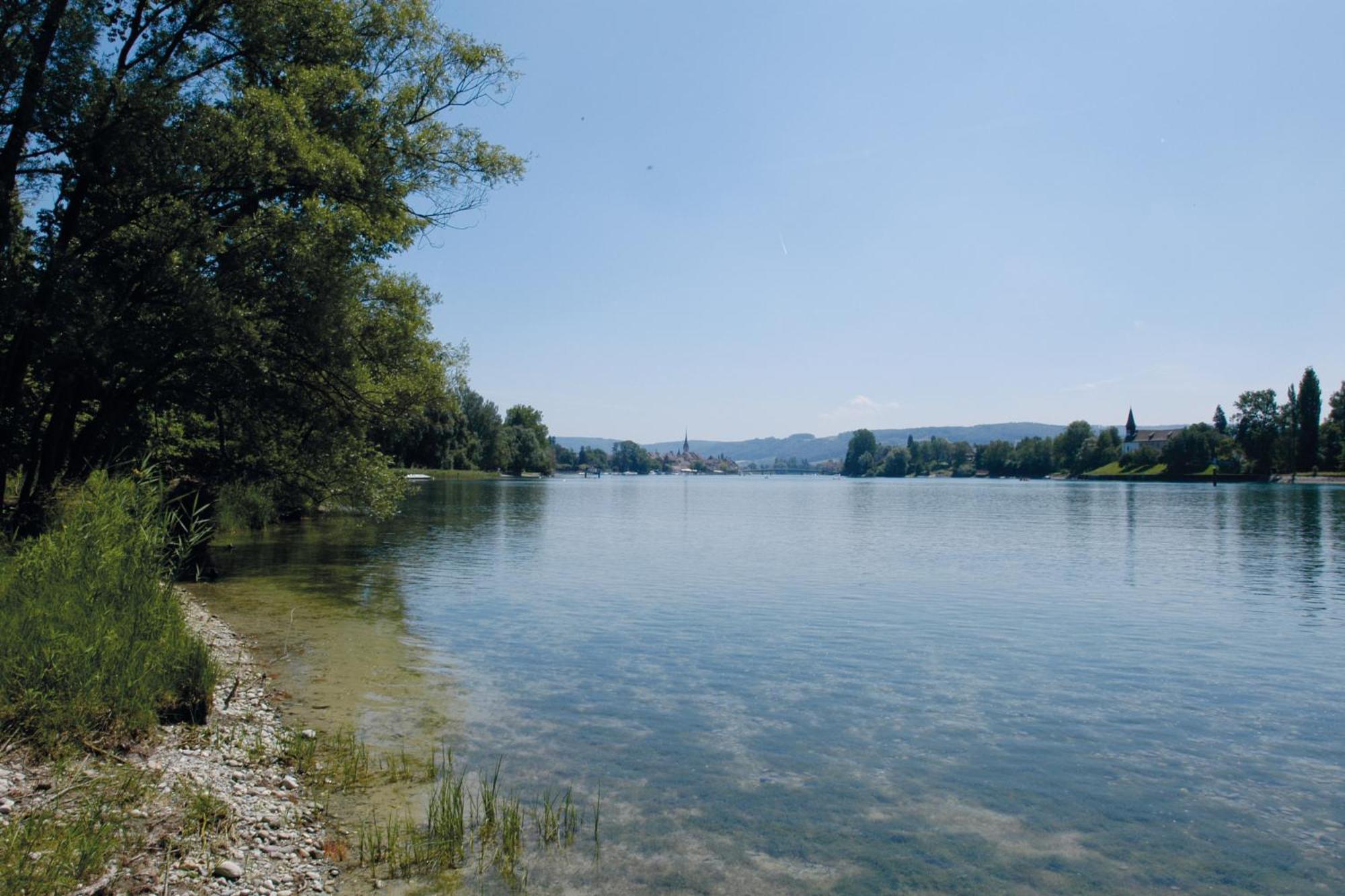 Youth Stein Am Rhein